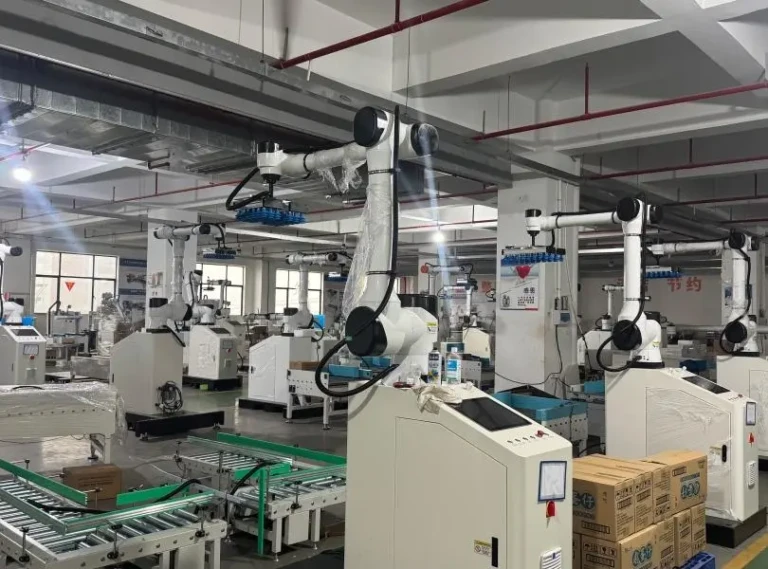 Robotics Portable Collaborative Robot Palletizer MD-630 (1)