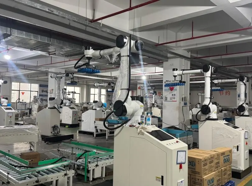 Robotics Portable Collaborative Robot Palletizer MD-630 (1)