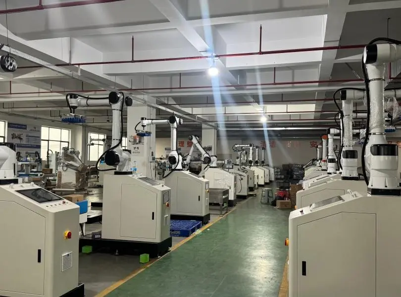 Robotics Portable Collaborative Robot Palletizer MD-630 (6)