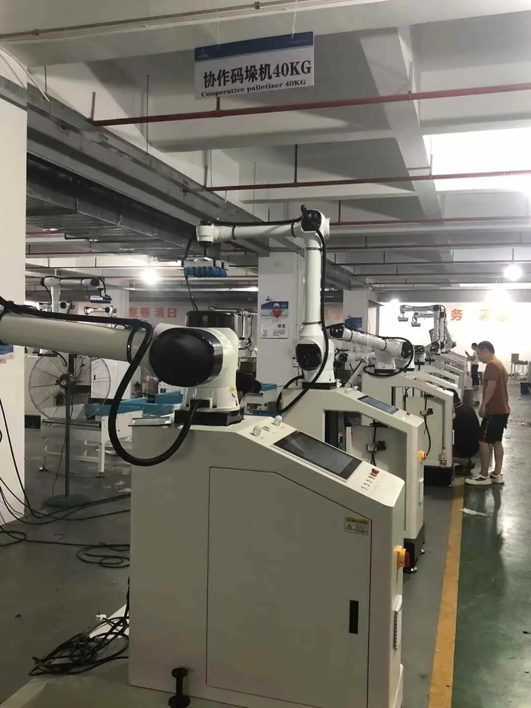 Palletizing Robots