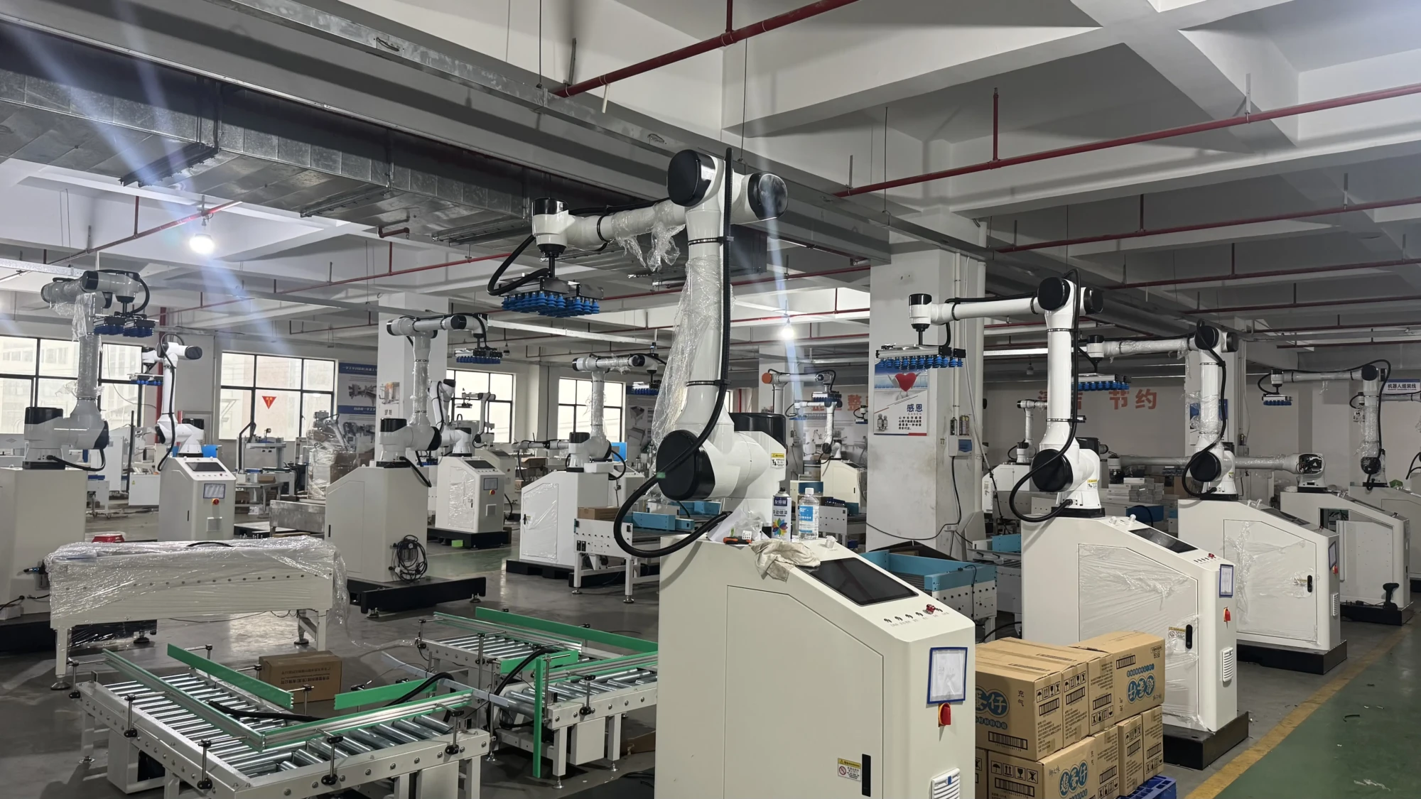 Palletizing And Packaging Robots