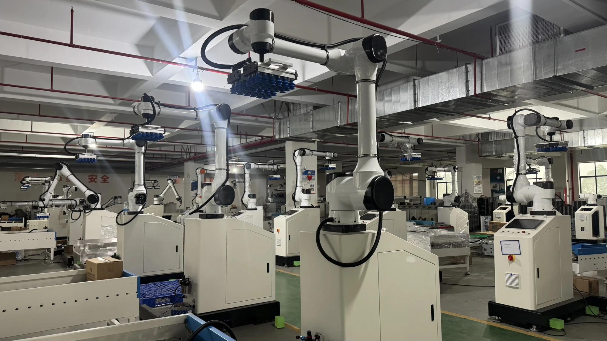 Storeroom Robotic Palletizers Racking San Jose