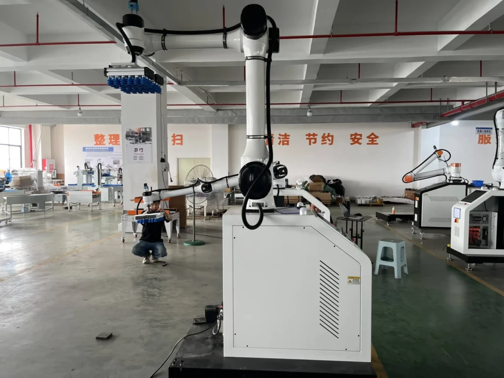 Rdc Robot Palletizer Manufacturer