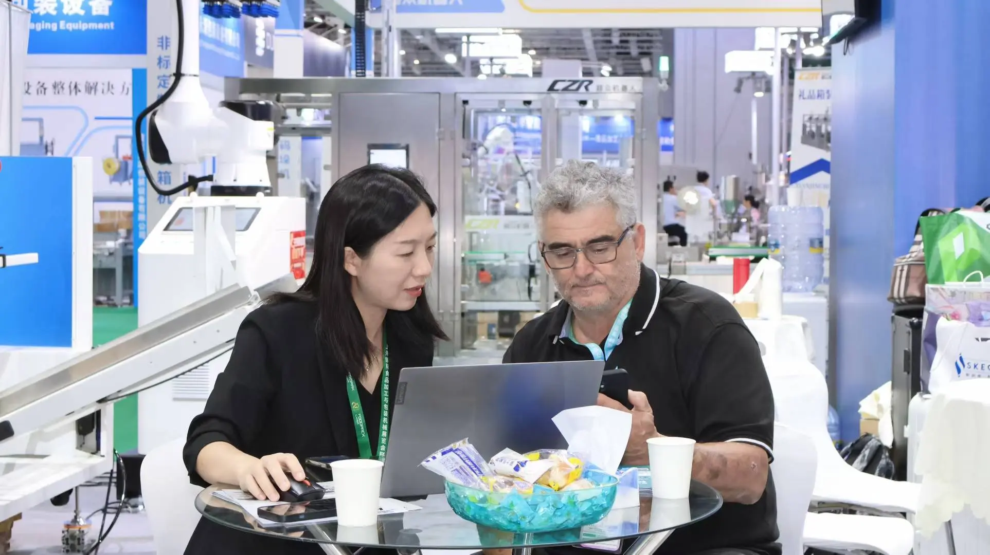 Factory Price Palletizing Robot Cost