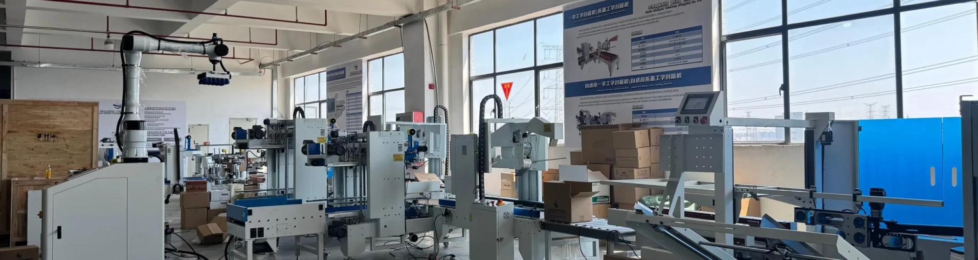 China Palletizer Robot Supplier